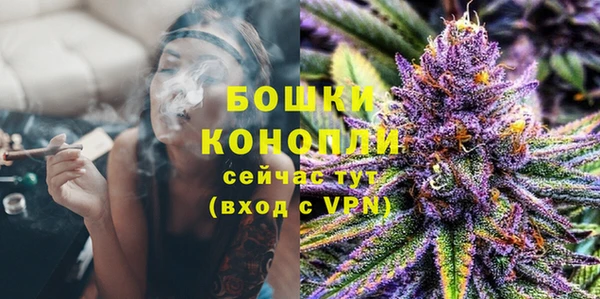 mdpv Богданович