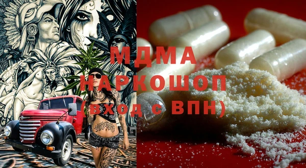 дживик Бородино