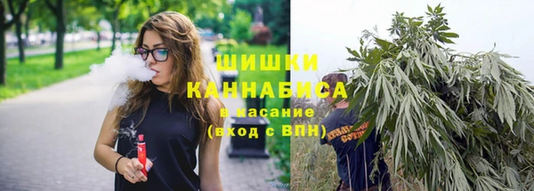 СК Богородицк
