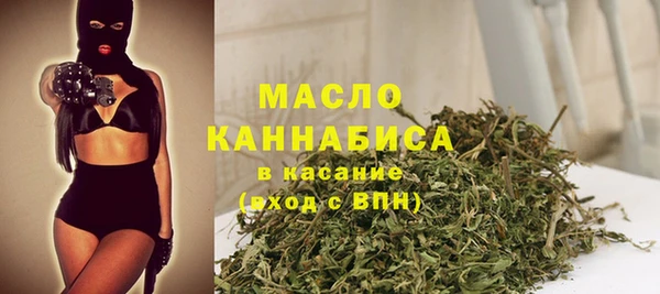 дживик Бородино