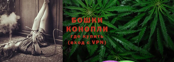 СК Богородицк
