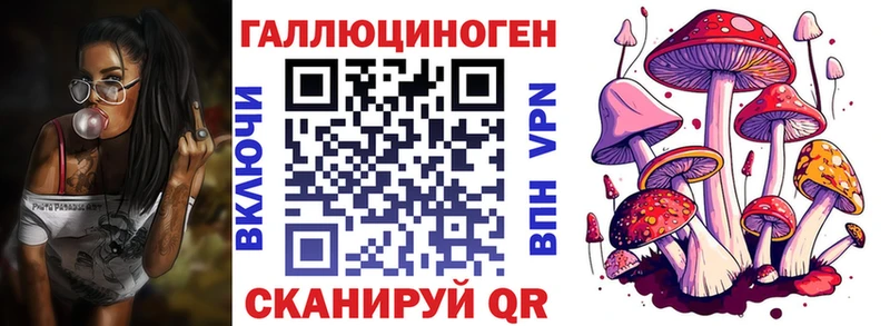 где можно купить кракен ТОР Псилоцибиновые грибы Psilocybe Оренбург